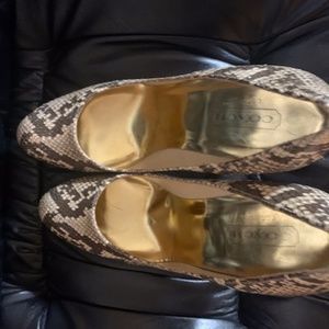 Coach shoes